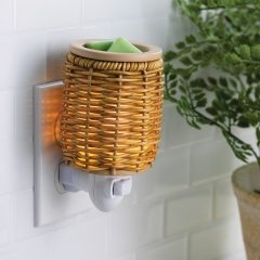 Pluggable Wicker.jpg